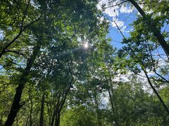 -玉渡山自然风景区