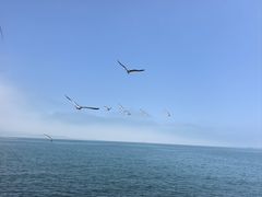 -悦海公园