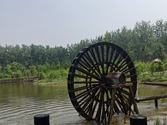 -合肥滨湖国家森林公园