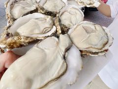 -濠轩阁特色生蚝火锅(水湾路店)