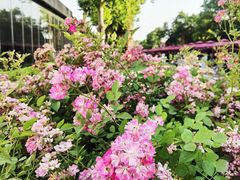 -元生咖啡(陶溪川店)