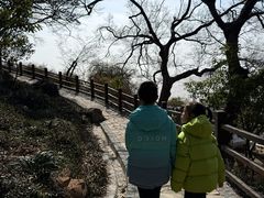 -外蒲山