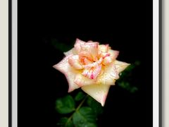 -苏州河梦清园环保主题公园