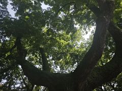 -颐和路民国时期公馆风貌区