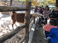 -西安秦岭野生动物园