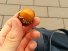 android_upload_pic-秋栗香(地安门店)