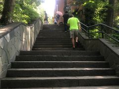 -上海佘山国家森林公园西佘山园