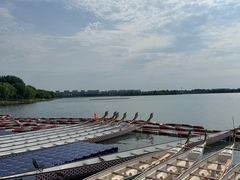 -丁香湖公园