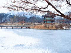 -景福宫