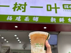 -一树一叶·福建茶档(石鼓路店)