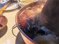 -东镇老火锅(长春路首店)