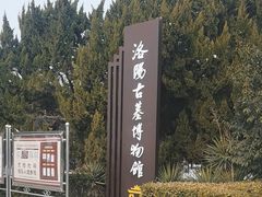 -洛阳古墓博物馆
