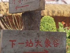 -武汉动物园