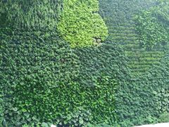 -中国杭州低碳科技馆