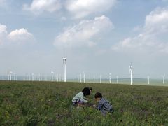 -塞罕坝国家级自然保护区