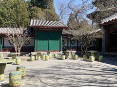 -宫事颐庭·老佛爷贵寿下午茶(颐和园店)