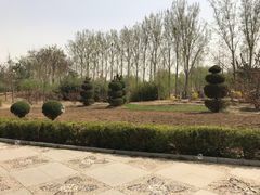 -燕郊植物园