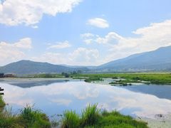 -腾冲北海湿地