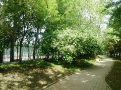 -中央民族大学