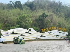 -西双版纳原始森林公园