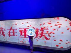 -重庆欢乐海底世界