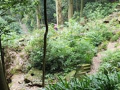 -缙云山景区