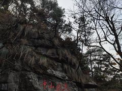 -庐山风景区花径公园