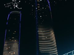 -演武大桥观景平台