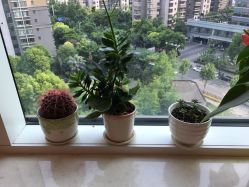 -久匠半永久纹眉