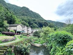 -雁南飞茶田景区