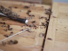 -五月木作·DIY木作文创体验店(北京路店)