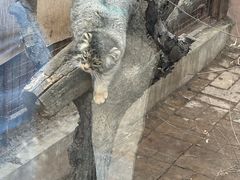 -青藏高原野生动物园