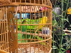 -淮扬府·游园京梦(北京SKP店)