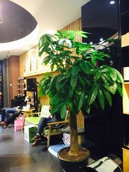 -隅日式美甲美睫專門店