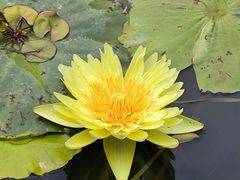 -云溪植物园