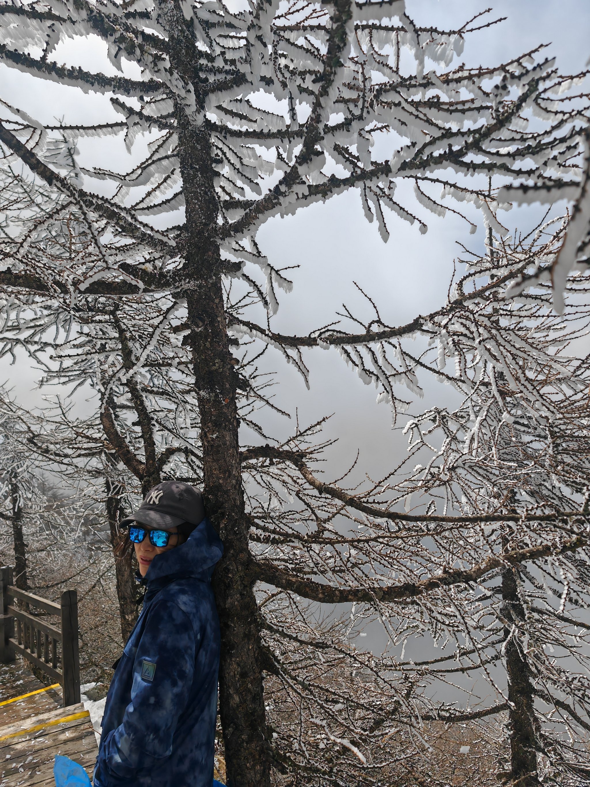 太白山天圆地方海拔图片