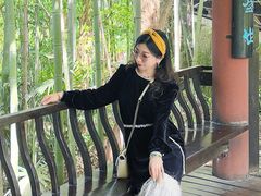 -潜山国家森林公园
