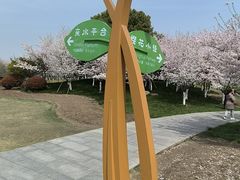 -径山花海