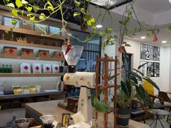 -唐咖精品咖啡(大理古城手冲店)