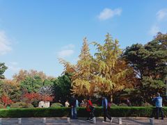 -八大关景区