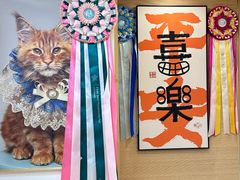 -猫十亿·布偶金渐层·曼基康矮脚猫舍(青年路店)