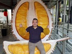 -都念榴莲·城市榴莲