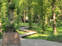 -国家植物园南园