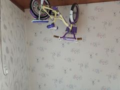 -金山农民画村-枫泾波兰倒置屋