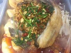 -黑猫馋纸包鱼(阳光店)