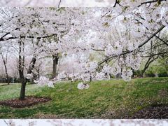 -上海辰山植物园