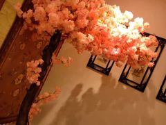 -碧露轩·大益茶体验馆(镇江路店)