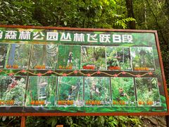 -西双版纳原始森林公园