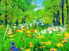 -海珠湖公园