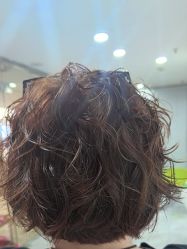 -镁连社·美联社